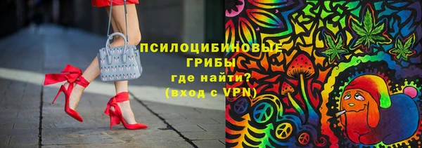 прущие грибы Вязники